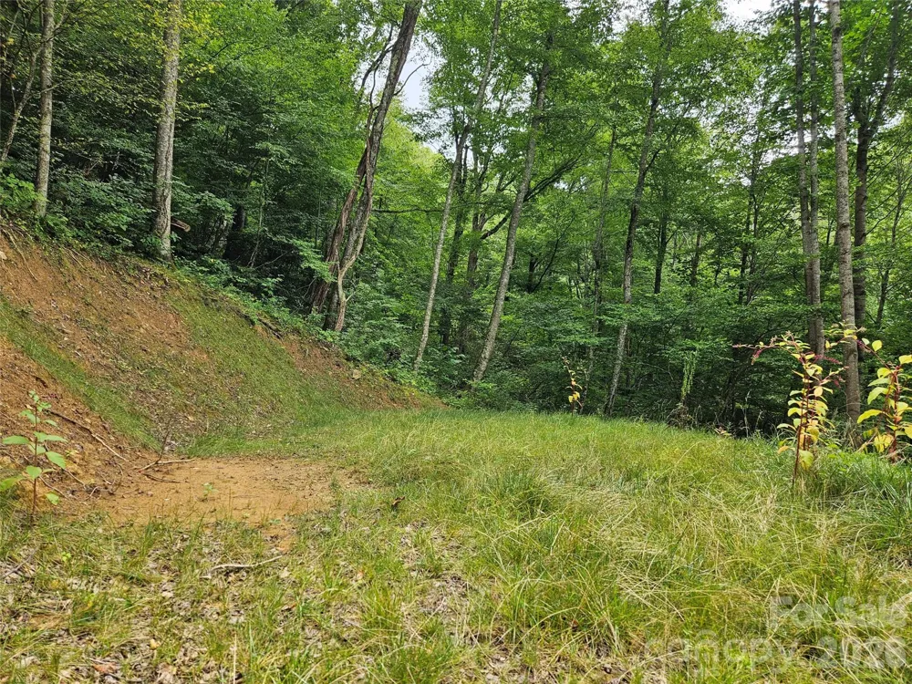 00 Wayward Cove Clyde, NC 28721