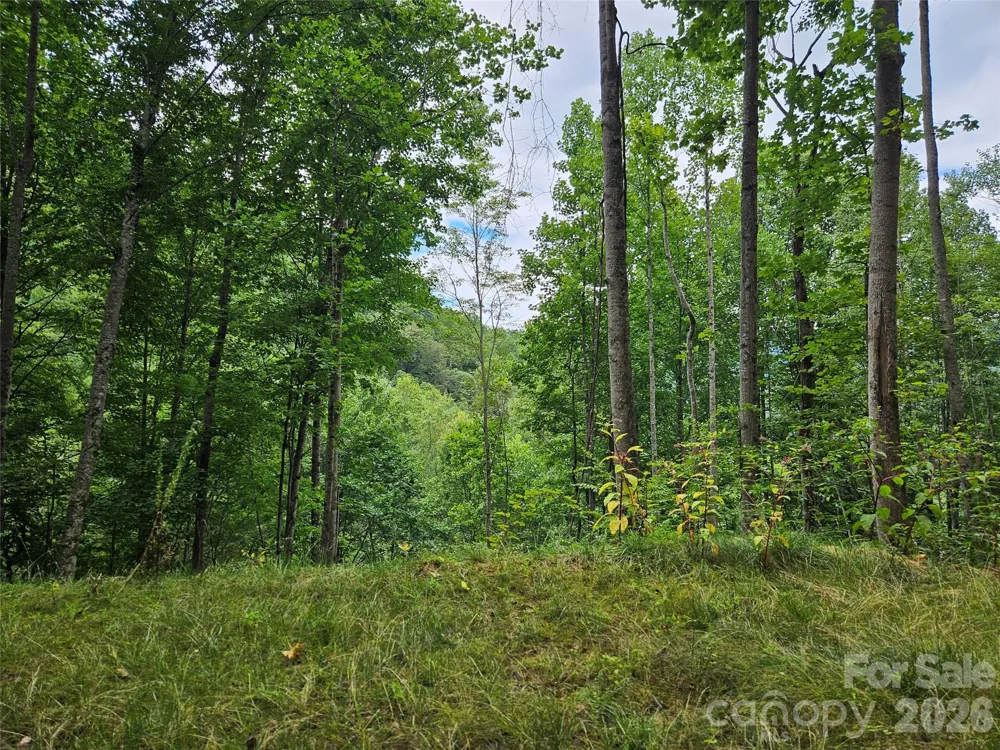 00 Wayward Cove Clyde, NC 28721