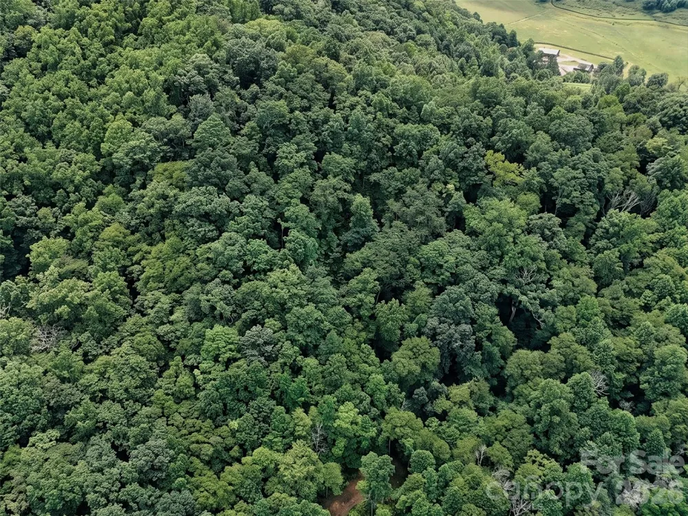 00 Wayward Cove Clyde, NC 28721