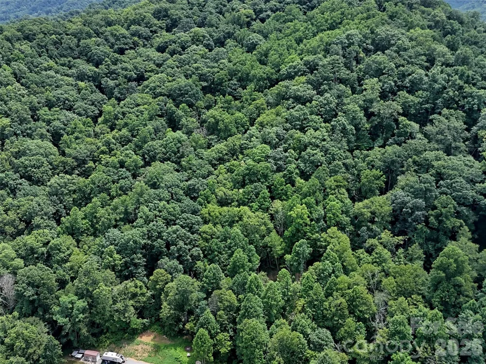 00 Wayward Cove Clyde, NC 28721