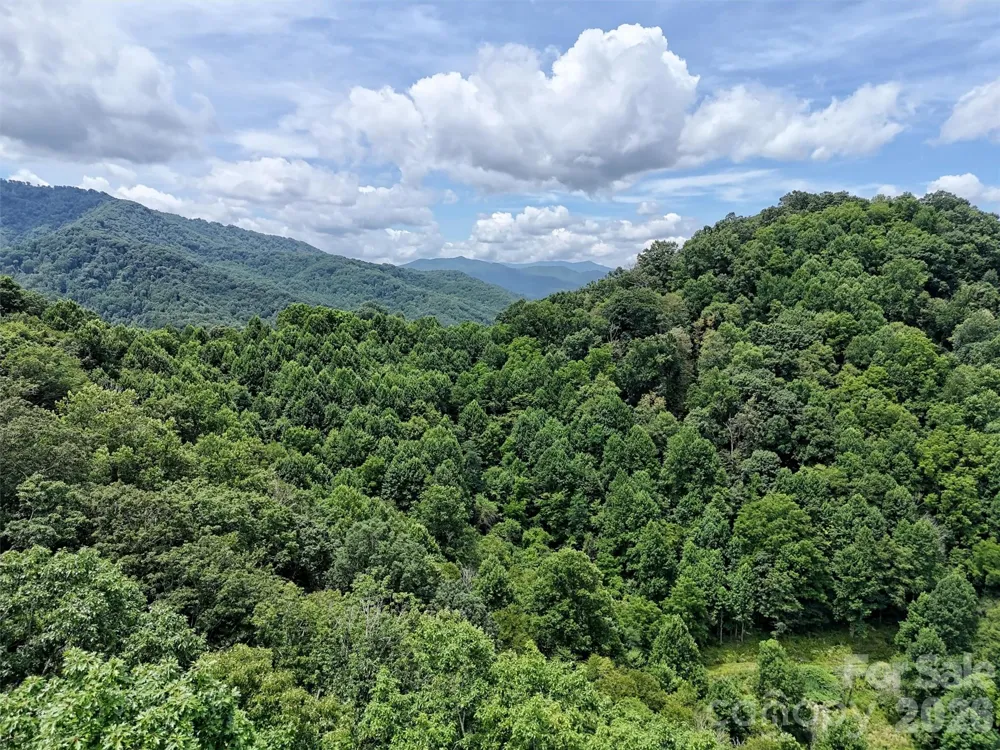 00 Wayward Cove Clyde, NC 28721