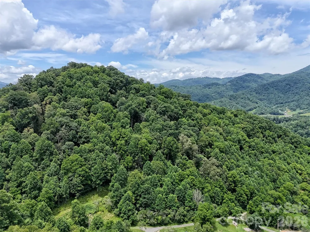00 Wayward Cove Clyde, NC 28721