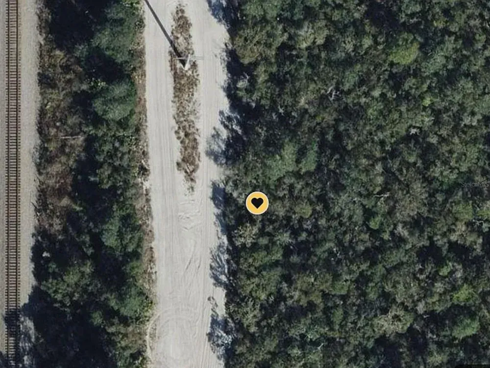 0 RIEGEL (PAPER) AVENUE Orange City, FL 32763