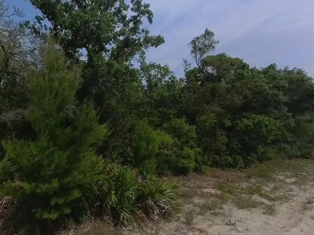 0 RIEGEL (PAPER) AVENUE Orange City, FL 32763