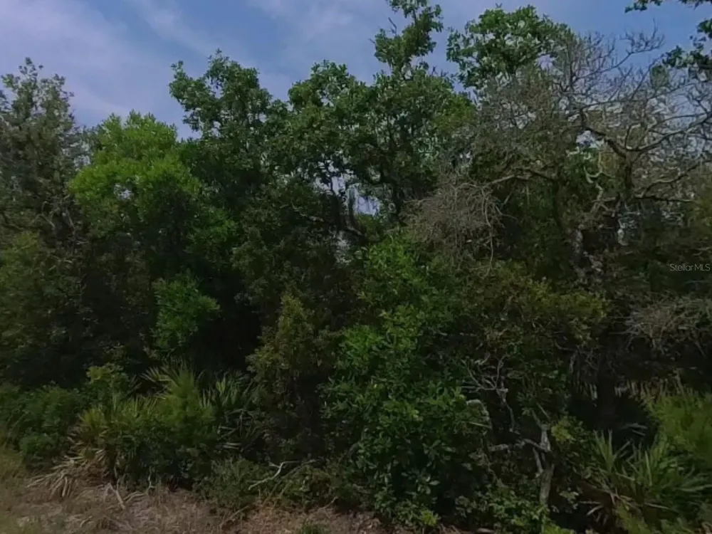 0 RIEGEL (PAPER) AVENUE Orange City, FL 32763