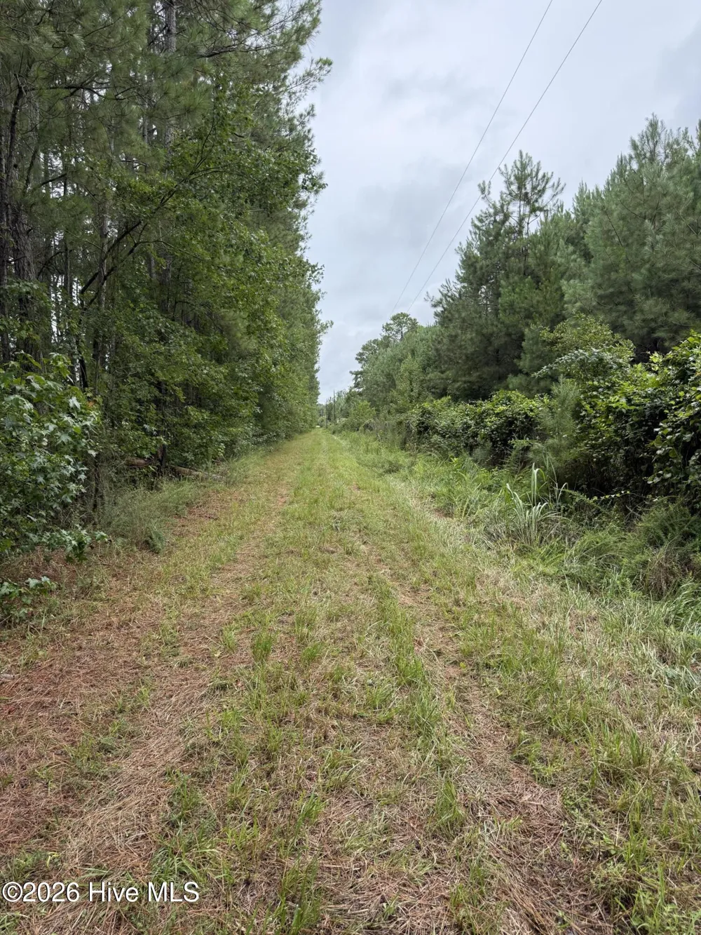 359 Roe And Sarah Drive Clarkton, NC 28433