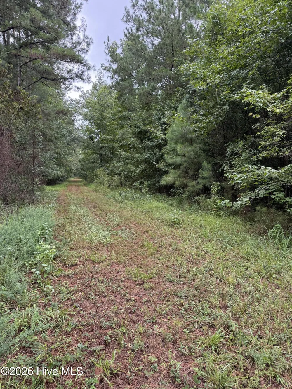 359 Roe And Sarah Drive Clarkton, NC 28433