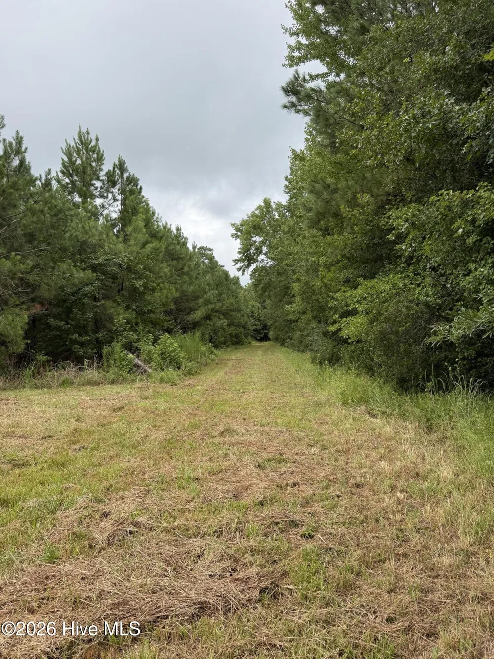 359 Roe And Sarah Drive Clarkton, NC 28433