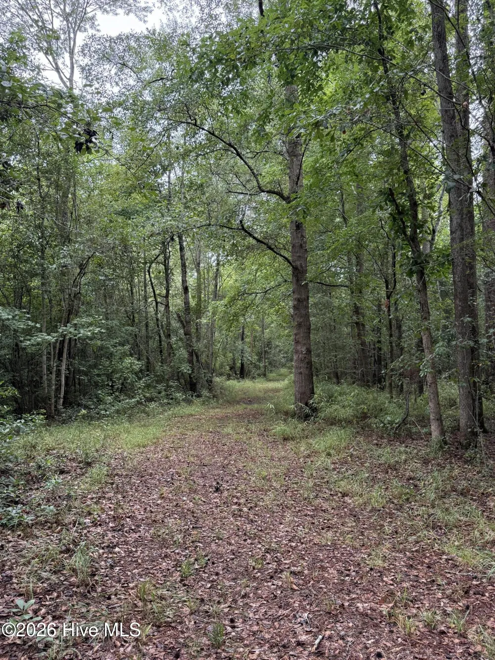 359 Roe And Sarah Drive Clarkton, NC 28433