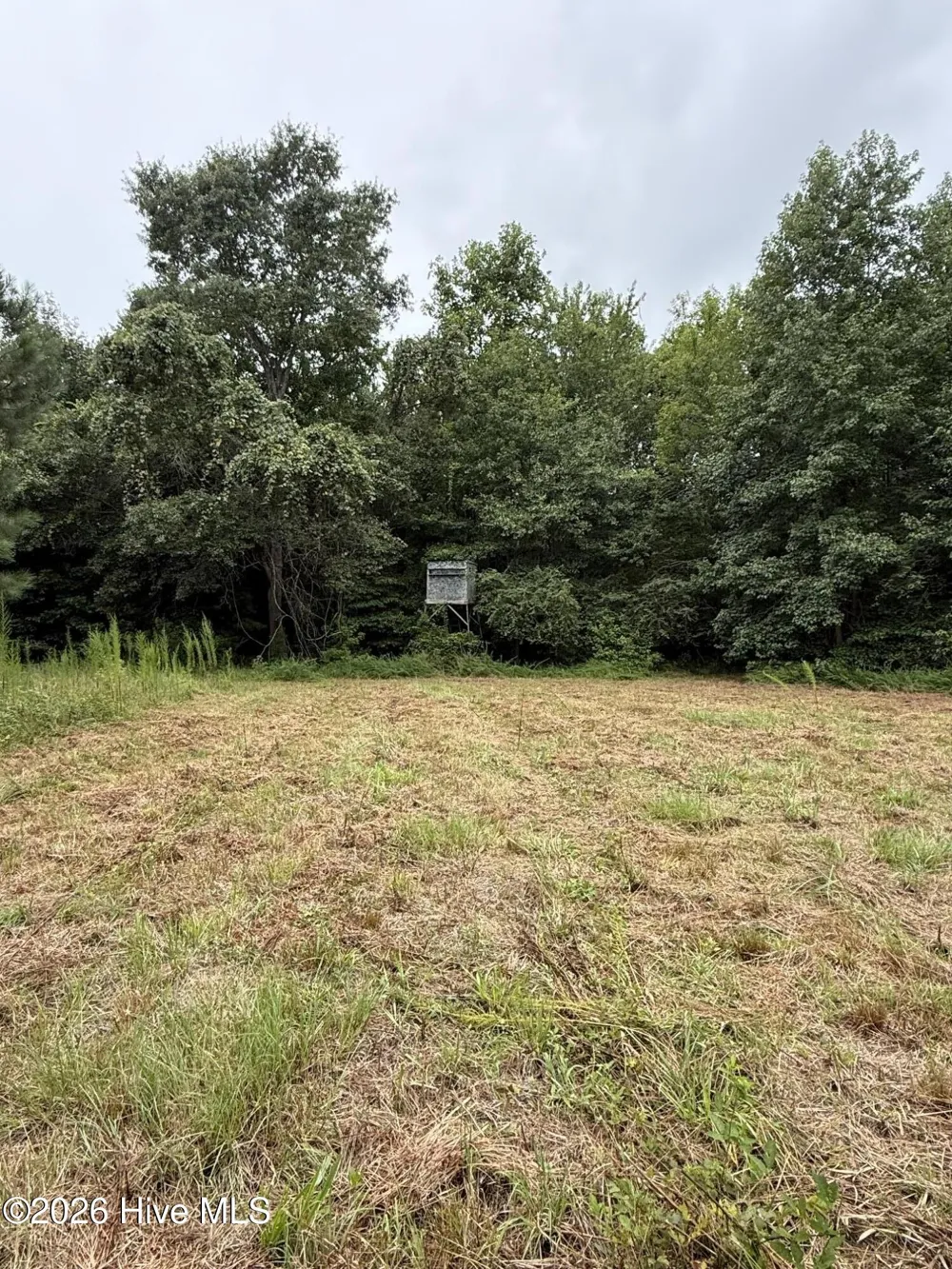 359 Roe And Sarah Drive Clarkton, NC 28433