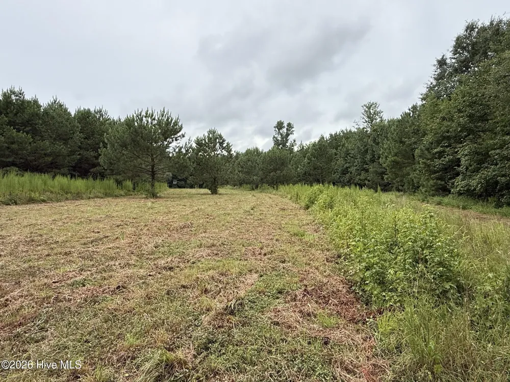 359 Roe And Sarah Drive Clarkton, NC 28433