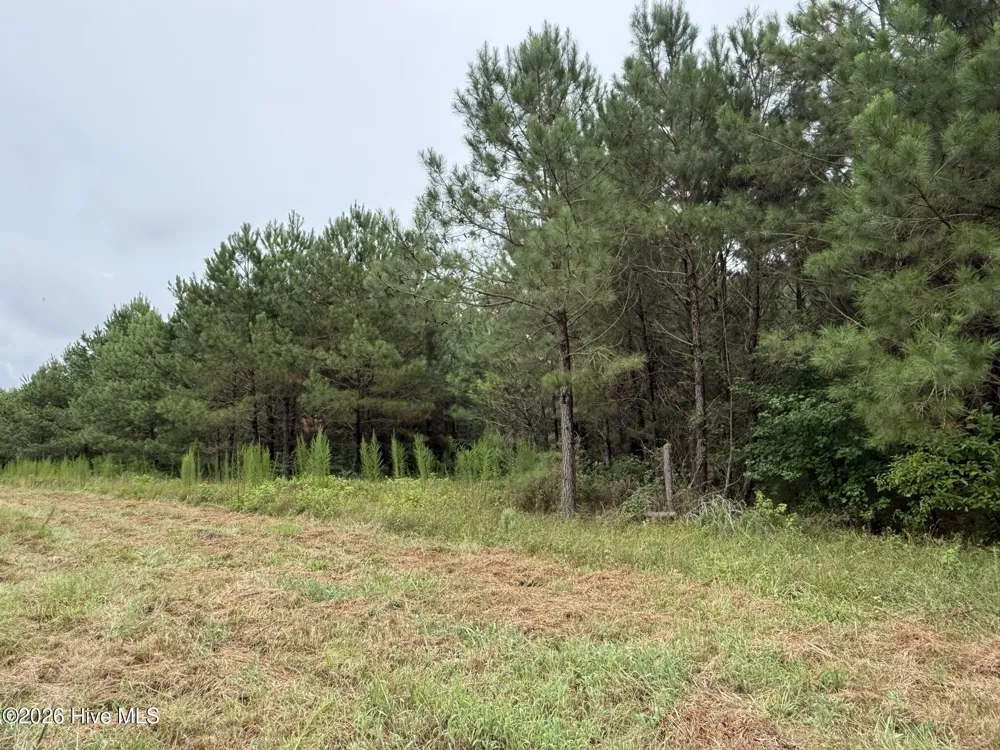 359 Roe And Sarah Drive Clarkton, NC 28433