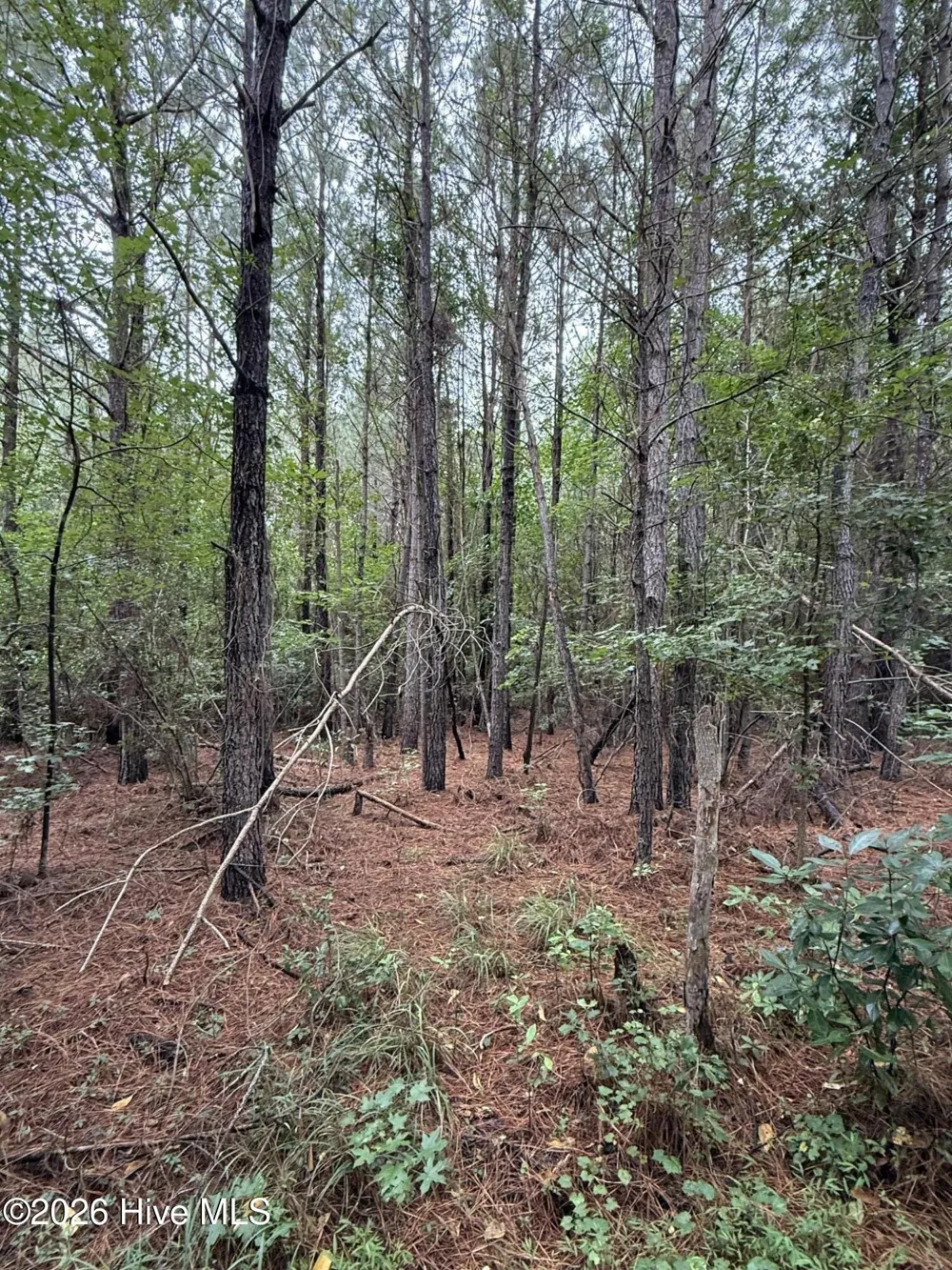 359 Roe And Sarah Drive Clarkton, NC 28433