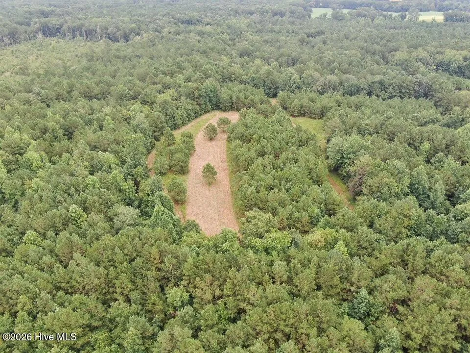 359 Roe And Sarah Drive Clarkton, NC 28433