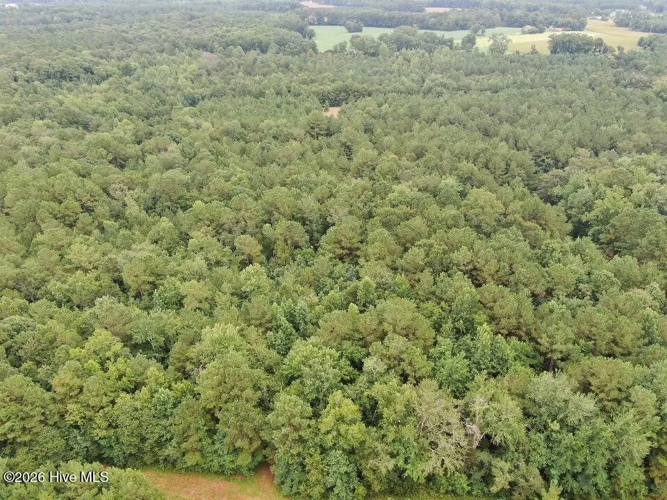 359 Roe And Sarah Drive Clarkton, NC 28433