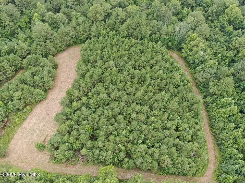 359 Roe And Sarah Drive Clarkton, NC 28433