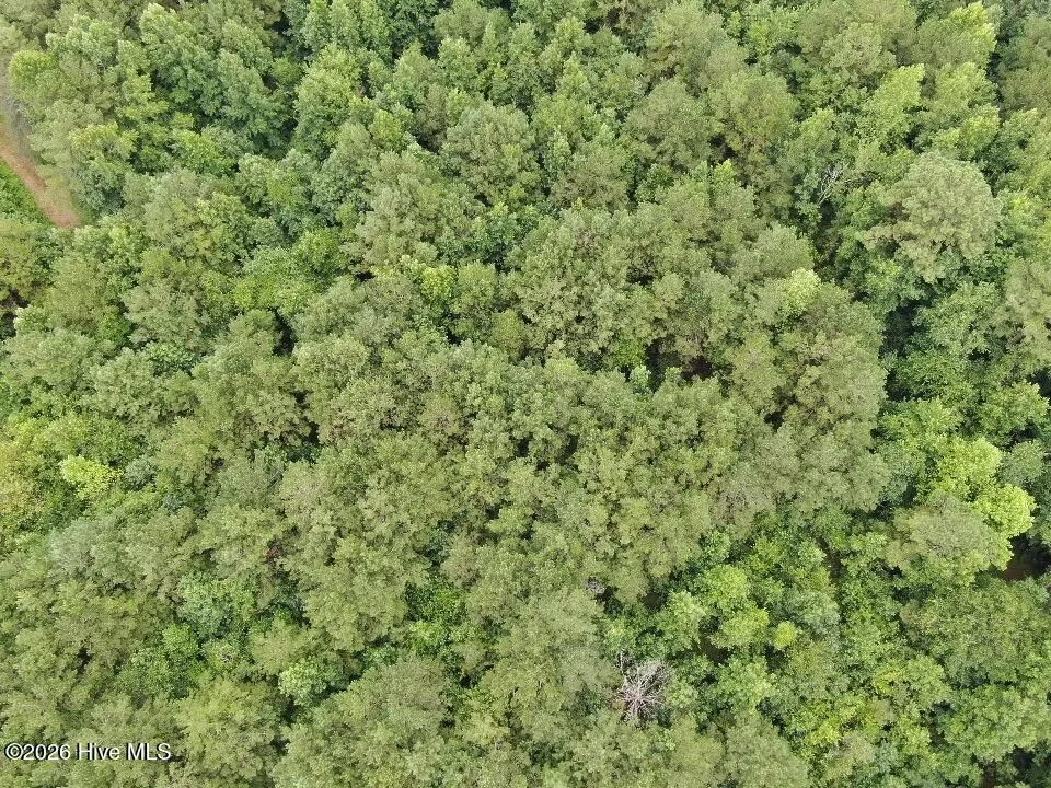 359 Roe And Sarah Drive Clarkton, NC 28433