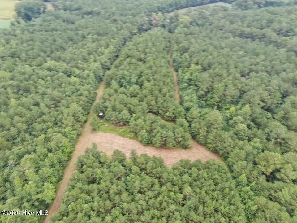 359 Roe And Sarah Drive Clarkton, NC 28433