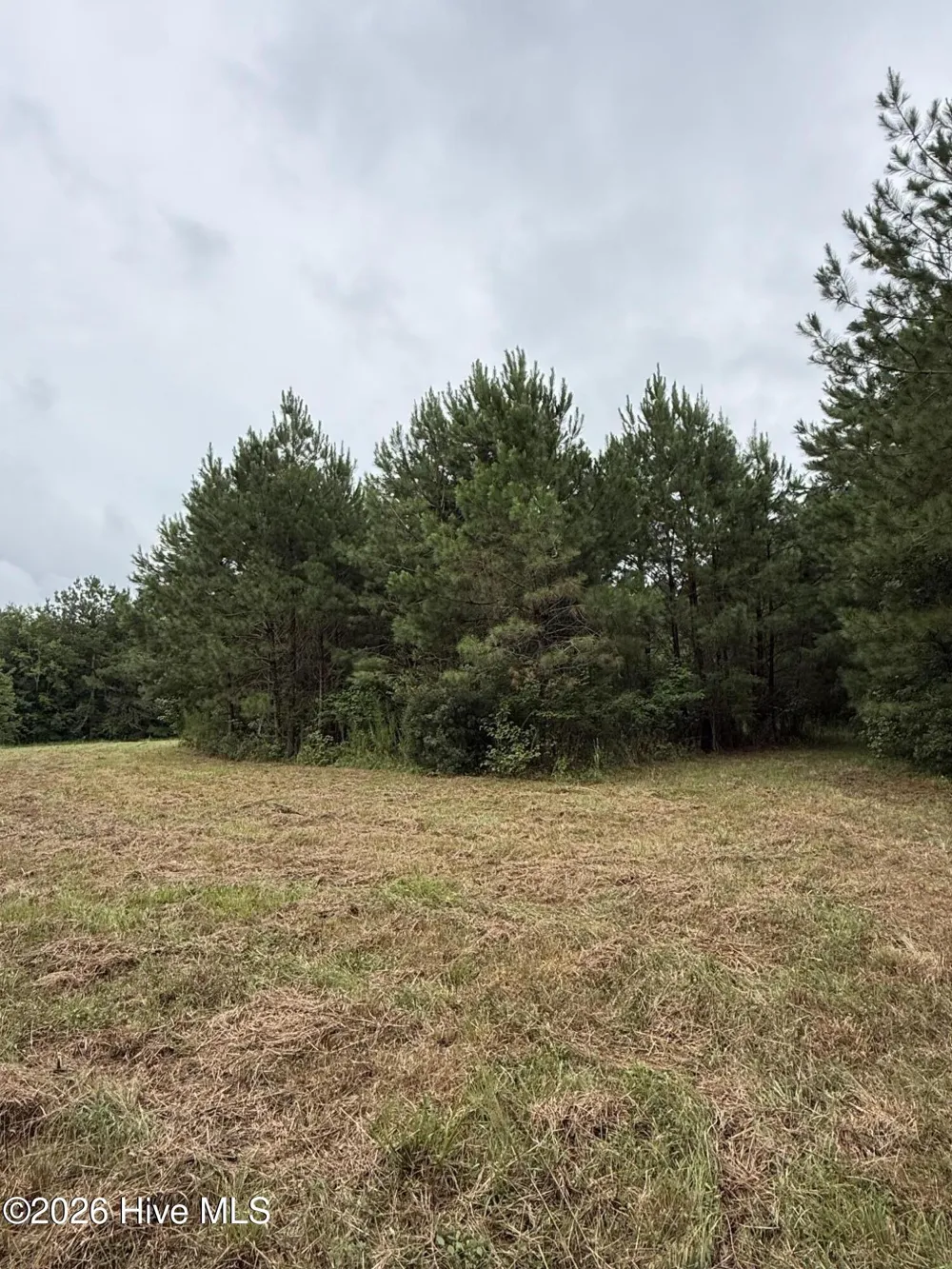 359 Roe And Sarah Drive Clarkton, NC 28433