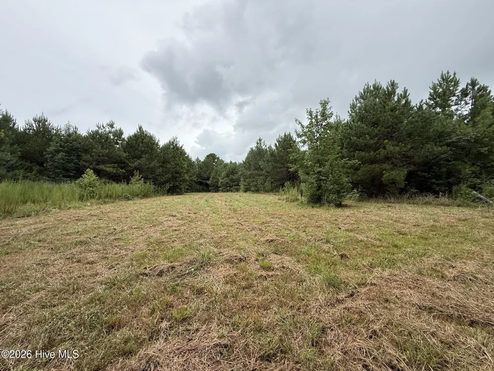 359 Roe And Sarah Drive Clarkton, NC 28433