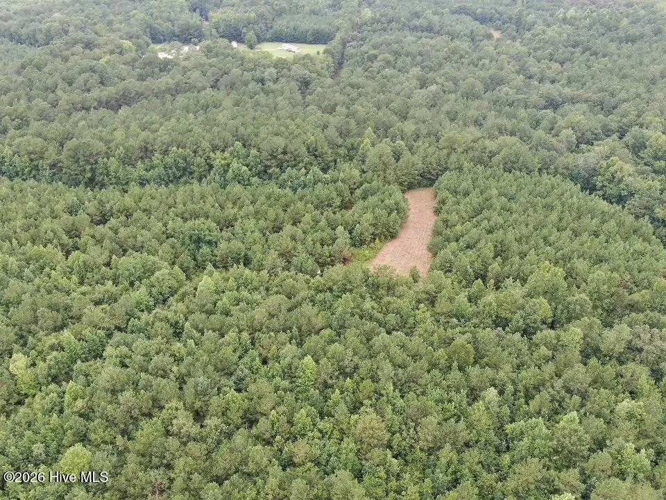 359 Roe And Sarah Drive Clarkton, NC 28433