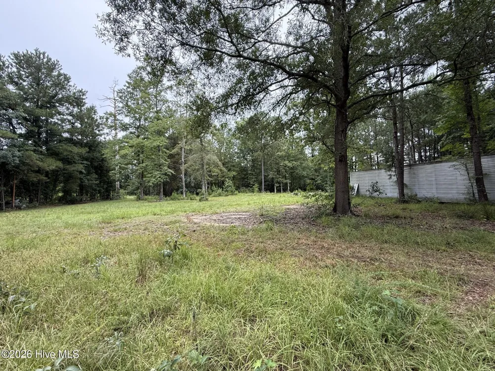 359 Roe And Sarah Drive Clarkton, NC 28433