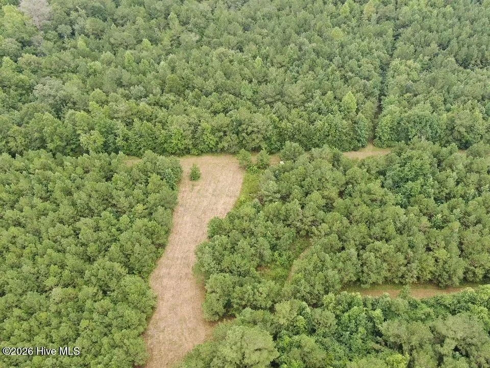 359 Roe And Sarah Drive Clarkton, NC 28433