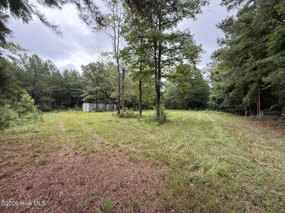 359 Roe And Sarah Drive Clarkton, NC 28433