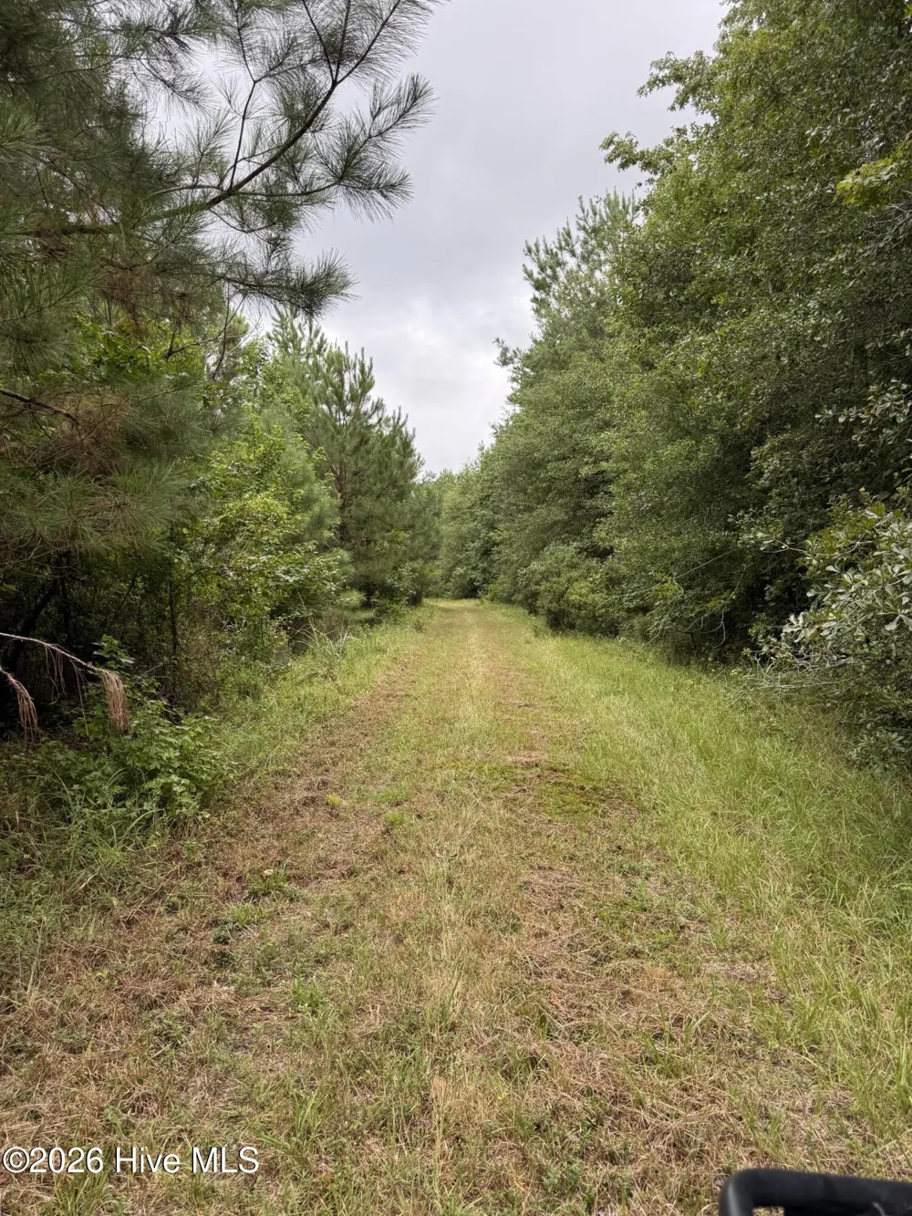 359 Roe And Sarah Drive Clarkton, NC 28433