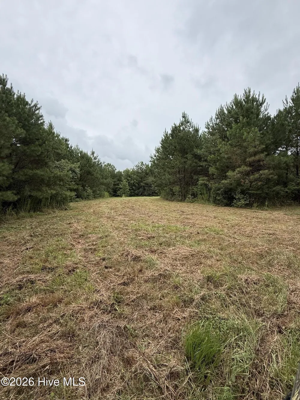 359 Roe And Sarah Drive Clarkton, NC 28433