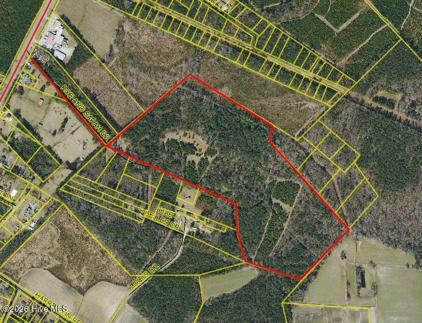 359 Roe And Sarah Drive Clarkton, NC 28433