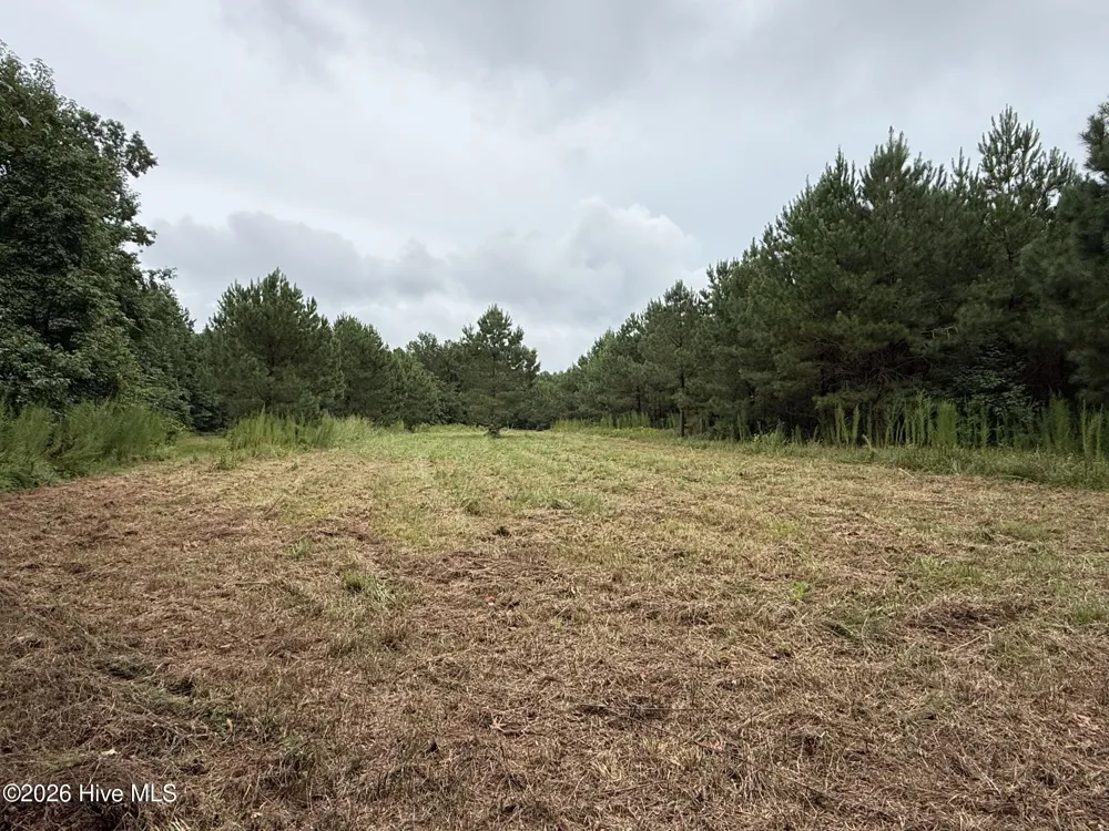 359 Roe And Sarah Drive Clarkton, NC 28433