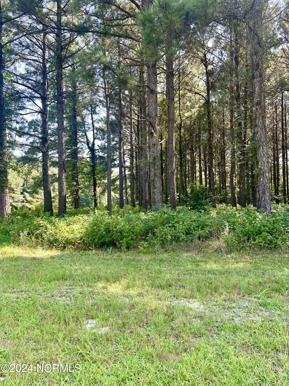 237 Winfall Circle Edenton, NC 27932