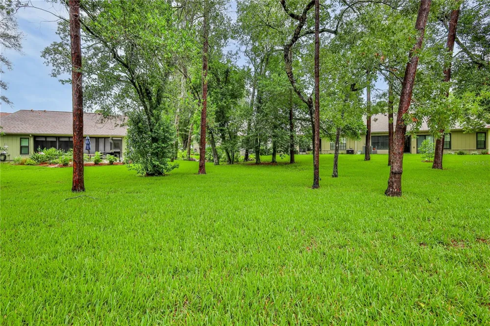 6591 BRAMBLELEAF DRIVE Spring Hill, FL 34606