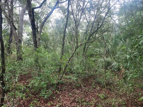 SW SANDS POINT AVENUE