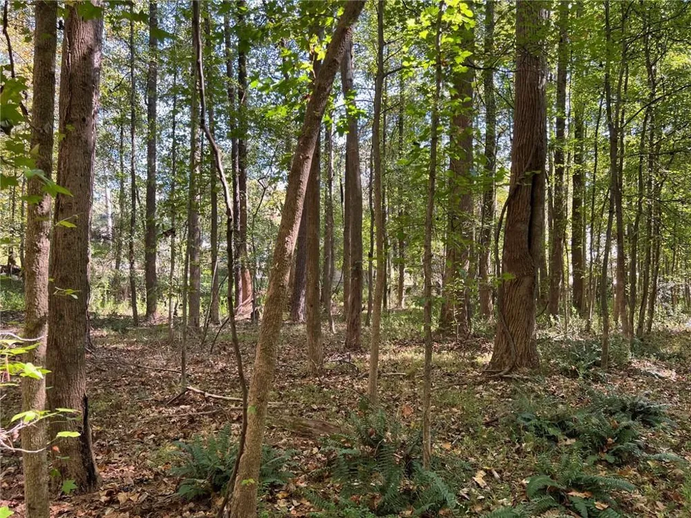 5334 Pounds Drive Stone Mountain, GA 30087