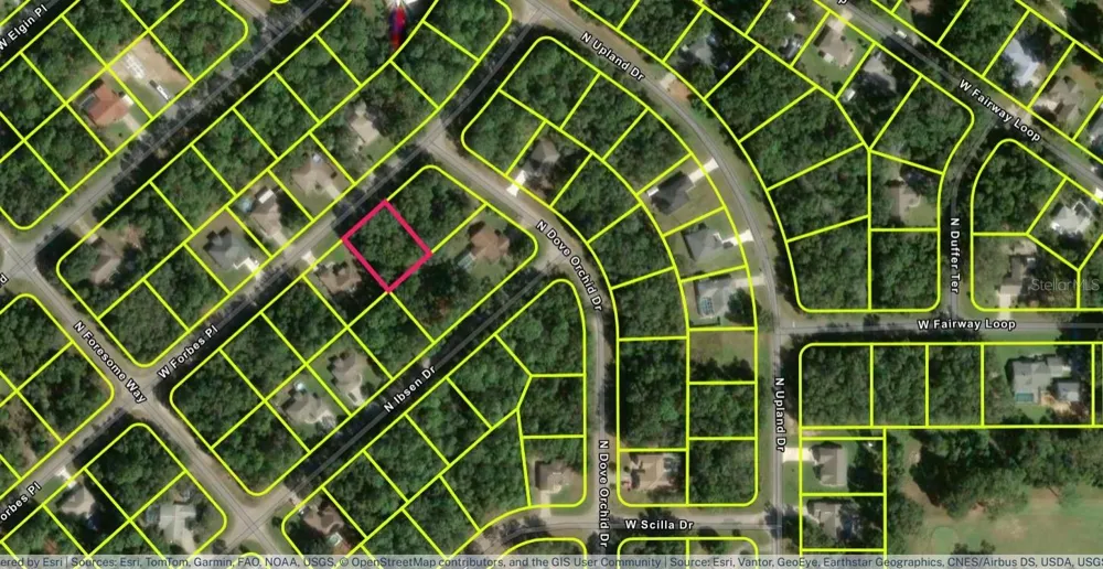 2658 W FORBES PLACE Citrus Springs, FL 34434