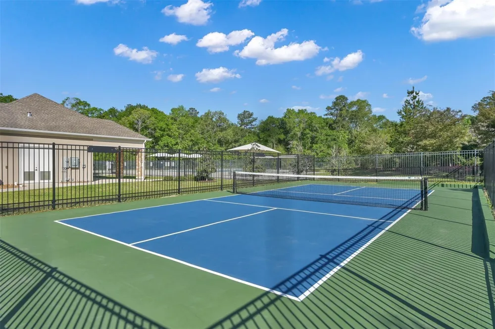 3326 Allendale Park Court Court Porter, TX 77365