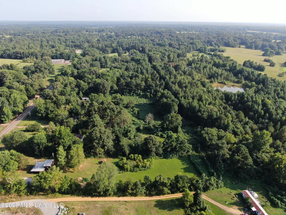 5199 Ms-305 Coldwater, MS 38618