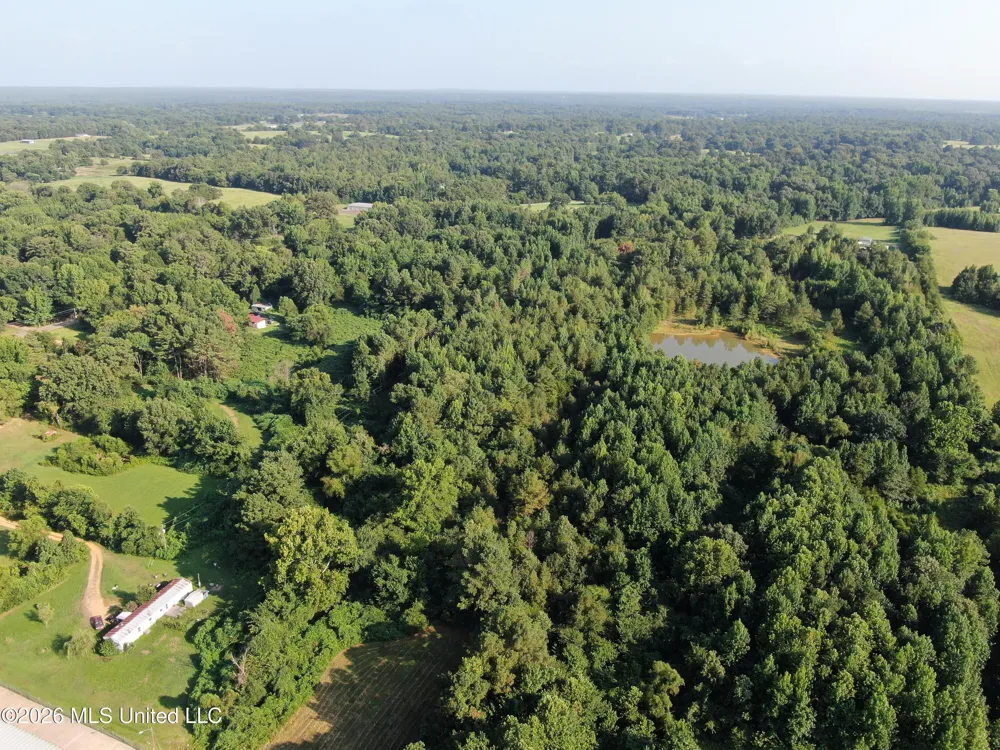 5199 Ms-305 Coldwater, MS 38618