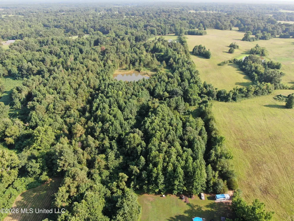 5199 Ms-305 Coldwater, MS 38618