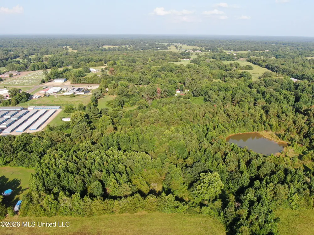 5199 Ms-305 Coldwater, MS 38618