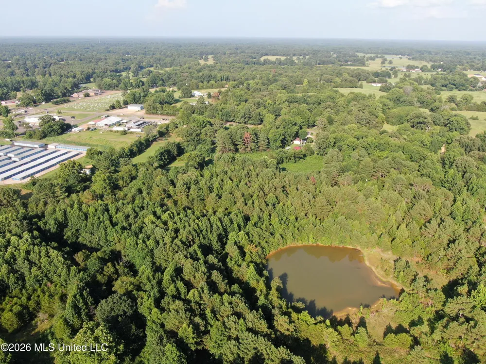 5199 Ms-305 Coldwater, MS 38618
