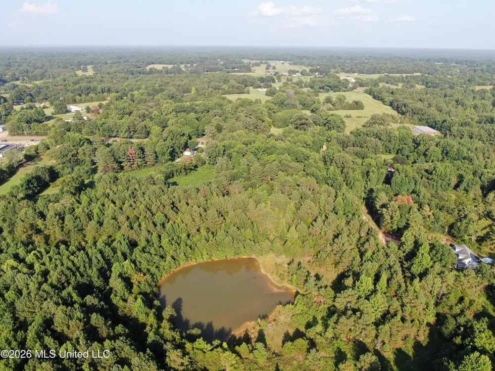 5199 Ms-305 Coldwater, MS 38618