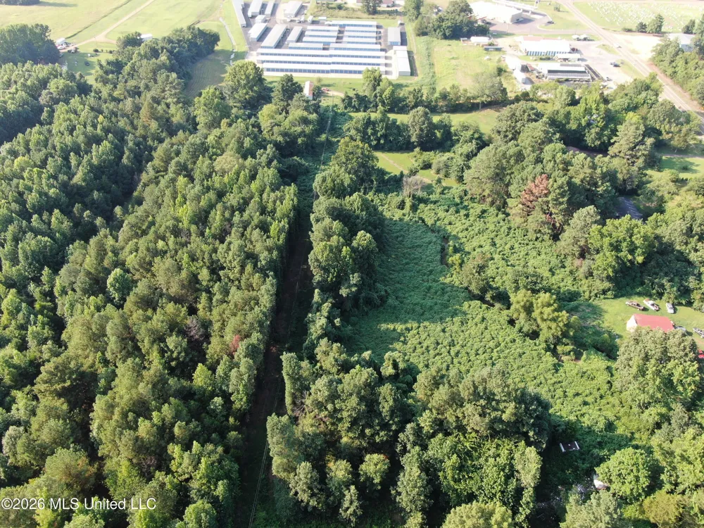 5199 Ms-305 Coldwater, MS 38618