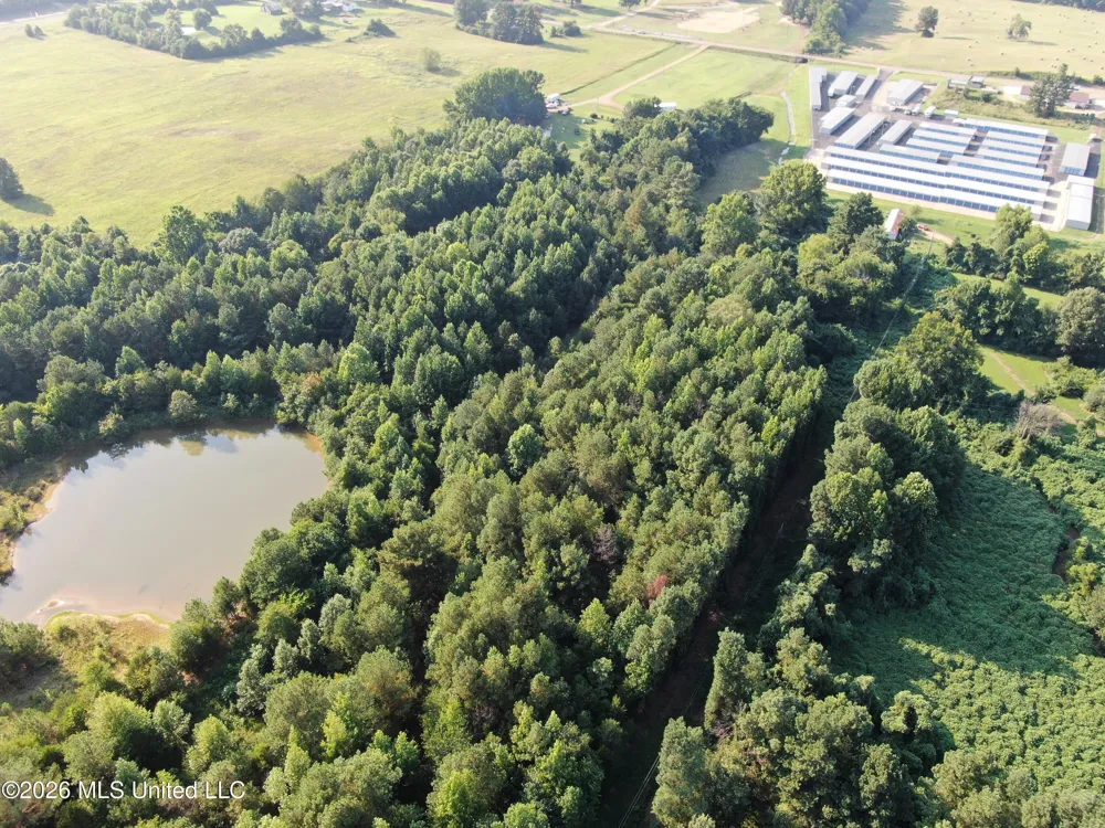 5199 Ms-305 Coldwater, MS 38618