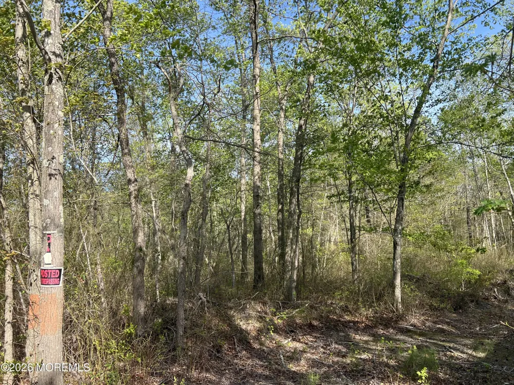 36 Freehold Road Jackson, NJ 08527