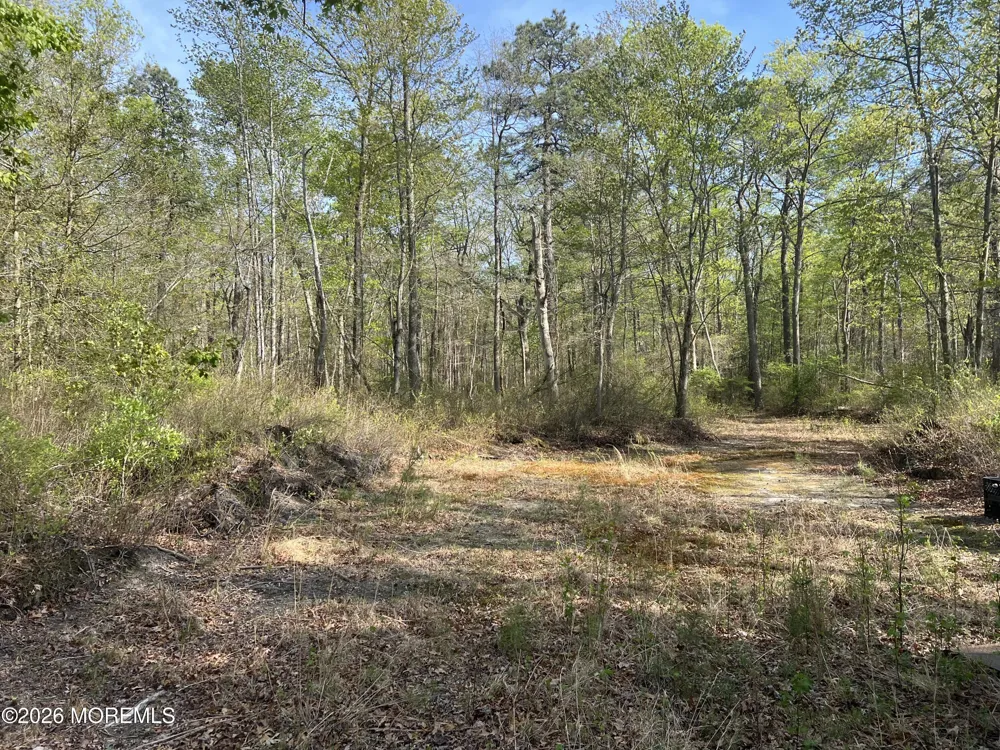 36 Freehold Road Jackson, NJ 08527