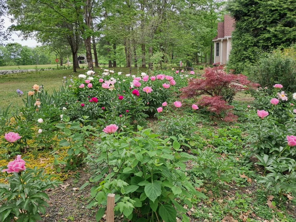 161 Ponder Ln Smithville, TN 37166