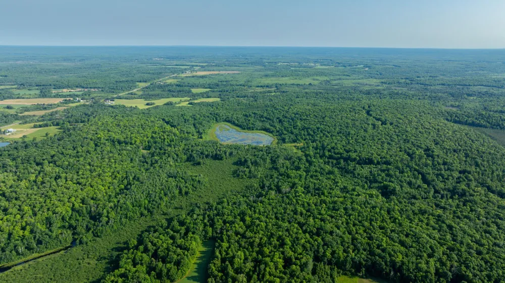 0000 State Highway 27 0000 Exeland, WI 54843